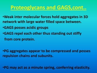 Proteoglycans and GAGS,cont..
•Weak inter molecular forces hold aggregates in 3D
network with large water filled space between.
•GAGS posses acidic groups
•GAGS repel each other thus standing out stiffy
from core protein.
•PG aggregates appear to be compressed and posses
repulsion chains and subunits.
•PG may act as a minute spring, conferring elasticity.
 