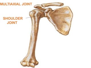 Os Multangular Joint Comprehensive Overview of Cartilage and Joint Anatomy and Function | PPTX