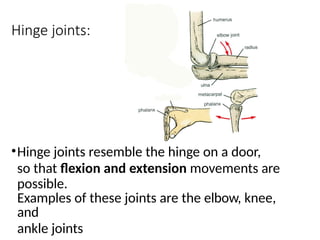 Hinge Joint Example Structures Comprehensive Overview of Cartilage and Joint Anatomy and Function | PPTX