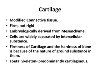 Cartilage&_Bone.pptx