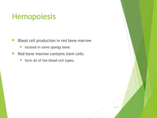 Hemopoiesis
 Blood cell production in red bone marrow
 located in some spongy bone.
 Red bone marrow contains stem cells
 form all of the blood cell types.
6-16
 