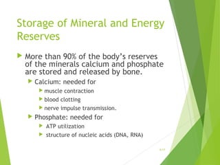 Storage of Mineral and Energy
Reserves
 More than 90% of the body’s reserves
of the minerals calcium and phosphate
are stored and released by bone.
 Calcium: needed for
 muscle contraction
 blood clotting
 nerve impulse transmission.
 Phosphate: needed for
 ATP utilization
 structure of nucleic acids (DNA, RNA)
6-17
 