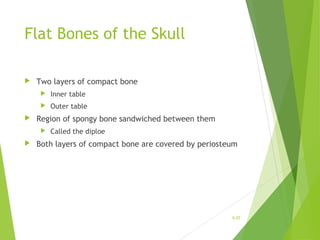 Flat Bones of the Skull
 Two layers of compact bone
 Inner table
 Outer table
 Region of spongy bone sandwiched between them
 Called the diploe
 Both layers of compact bone are covered by periosteum
6-25
 