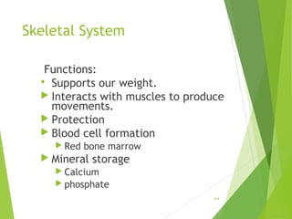 Skeletal System
Functions:
 Supports our weight.
 Interacts with muscles to produce
movements.
 Protection
 Blood cell formation
 Red bone marrow
 Mineral storage
 Calcium
 phosphate
6-4
 