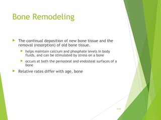 Bone Remodeling
 The continual deposition of new bone tissue and the
removal (resorption) of old bone tissue.
 helps maintain calcium and phosphate levels in body
fluids, and can be stimulated by stress on a bone
 occurs at both the periosteal and endosteal surfaces of a
bone
 Relative rates differ with age, bone
6-52
 