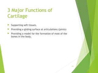 3 Major Functions of
Cartilage
 Supporting soft tissues.
 Providing a gliding surface at articulations (joints)
 Providing a model for the formation of most of the
bones in the body.
6-6
 