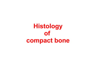 Histology of  compact bone 