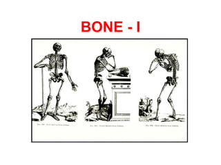 BONE - I 