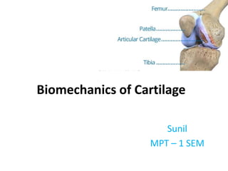 Biomechanics of Cartilage
Sunil
MPT – 1 SEM
 