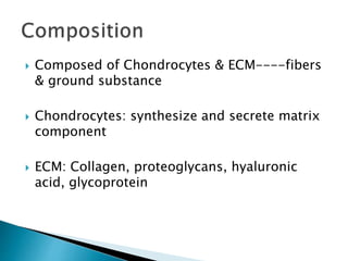  Composed of Chondrocytes & ECM----fibers
& ground substance
 Chondrocytes: synthesize and secrete matrix
component
 ECM: Collagen, proteoglycans, hyaluronic
acid, glycoprotein
 