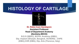 HISTOLOGY OF CARTILAGE
Dr. Rabia Inam Gandapore
Assistant Professor
Head of Department Anatomy
(Dentistry-BKCD)
B.D.S (SBDC), M.Phil. Anatomy (KMU),
Dip. Implant (Sharjah, Bangkok, ACHERS) , CHPE
(KMU),CHR (KMU), Dip. Arts (Florence, Italy)
 