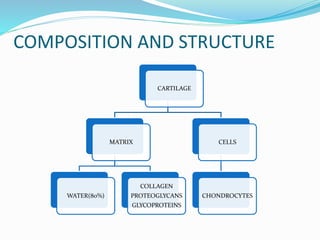 Cartilage injuries | PPTX