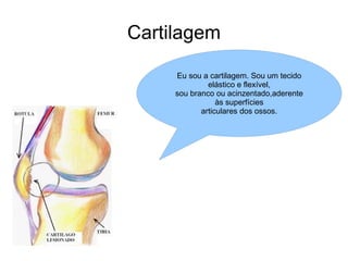 Cartilagem Eu sou a cartilagem. Sou um tecido elástico e flexível, sou branco ou acinzentado,aderente às superfícies articulares dos ossos. 