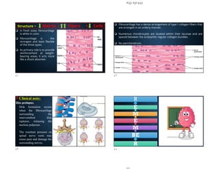 ٢٤/٠٧/١٤٤٤
 In fresh state, fibrocartilage
is white in color.
 Fibrocartilage is the
strongest and least flexible
of the three types.
 Its primary role is to provide
reinforcement at weight-
bearing areas, It acts more
like a shock absorber.
Structure = Matrix + Fibers + Cells  Fibrocartilage has a dense arrangement of type I collagen fibers that
are arranged in an orderly manner.
 Numerous chondrocytes are located within their lacunae and are
spaced between the acidophilic regular collagen bundles.
 No perichondrium.
# Clinical note:
Disc prolapse;
- Disk herniation occurs
when the fibrocartilage
surrounding the
intervertebral disk
ruptures, releasing the
nucleus pulposus.
- The resultant pressure on
spinal nerve roots may
cause pain and damage the
surrounding nerves.
R
BE
M
E
M
E
R
٤١ ٤٢
٤٣ ٤٤
 