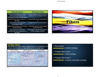 ٢٤/٠٧/١٤٤٤
Chondroblast Chondrocytes
Immature developmental cartilage
cells that are involved in the
development of the cartilage tissue
Mature cartilage cells that function
to maintain the cartilage structure.
actively produce the component of
the ECM.
secrete ECM and are embedded in
it.
originate from mesenchymal
chondrogenic cells.
originate from the chondroblasts.
Appositional growth of the cartilage
by chondroblasts
Interstitial growth of the cartilage
by chondrocytes
Main function is to produce
chondrocytes and components of
the ECM
Primarily, to maintain the structure
of the cartilage and ECM
Fibers
Cartilage Fibers:
The fibers are either solely collagenous or a combination of
elastic and collagenous, depending on the cartilage type.
 Elastic fibers
in elastic cartilage.
 Collagen fibers type I
in fibrocartilage.
 Collagen fibers type II
in hyaline and elastic cartilage.
٢١ ٢٢
٢٣ ٢٤
 