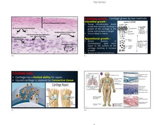 ٢٤/٠٧/١٤٤٤
Interstitial growth :
 Young chondrocytes divide
inside their lacunae resulting in
growth of the cartilage at the
center and increase in length.
 Occurs deep in matrix.
Appositional growth :
 Mitotic division of
chondroblasts adds more
layers to the surface of the
cartilage resulting in increase
in width
 Occurs on the perichondrium.
# Cartilage growth: Cartilage grows by two methods:
# Cartilage repair :
 Cartilage has a limited ability for repair.
 Injured cartilage is replaced by Connective tissue.
٢٩ ٣٠
٣١ ٣٢
 