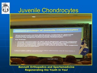 Juvenile Chondrocytes 
Bennett Orthopedics and Sportsmedicine Regenerating the Youth in You! 
copyright 2012  