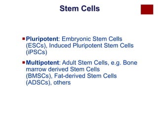 Stem Cells

Pluripotent: Embryonic Stem Cells
(ESCs), Induced Pluripotent Stem Cells
(iPSCs)
Multipotent: Adult Stem Cells, e.g. Bone
marrow derived Stem Cells
(BMSCs), Fat-derived Stem Cells
(ADSCs), others

 