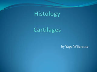 HistologyCartilages  by Yapa Wijeratne 