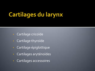 • Cartilage cricoïde
• Cartilage thyroïde
• Cartilage épiglottique
• Cartilages aryténoïdes
• Cartilages accessoires
 