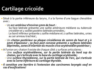  Situé à la partie inférieure du larynx, il a la forme d’une bague chevalière
avec :
• Un arc antérieur d’environ 5mm de haut :
˗ Sa face latérale présente une saillie antérieure médiane ou tubercule
cricoïdien et 2 saillies postéro-latérales arrondies ;
˗ Le bord inférieur présente 1 saillie médiane et 2 saillies latérales, unies
au 1er anneau trachéal ;
• Un chaton postérieur ou plaque cricoïdienne de 20mm de haut et 3 à
5mm d’épaisseur ; sa face post convexe présente 2 surfaces latérales
déprimées, zones d’insertion du muscle crico-aryténoïdien postérieur ;
 A l’union arc-chaton il existe de chaque côté 2 surfaces articulaires :
• Une surface aryténoïdienne, sur la partie latérale du bord sup du
chaton, qui s’articule avec la base du cartilage aryténoïde;
• Une surface thyroïdienne, sur la partie latérale de l’arc, qui s’articule
avec la corne inférieure du cartilage thyroïde.
 Le cricoïde constitue une zone de résistance à l’extension des carcinomes
laryngés sauf en cas d’ossifications!
 