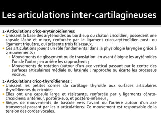 1-Articulations crico-aryténoïdiennes:
 Unissent la base des aryténoïdes au bord sup du chaton cricoïdien, possèdent une
capsule lâche et mince, renforcée par le ligament crico-aryténoïdien post- ou
ligament triquètre, qui présente trois faisceaux ;
 Ces articulations jouent un rôle fondamental dans la physiologie laryngée grâce
à 2 mouvements :
• Mouvements de glissement ou de translation: en avant éloigne les aryténoïdes
l’un de l’autre ; en arrière les rapprochent ;
• Mouvements de rotation (autour d’un axe vertical passant par le centre des
surfaces articulaires) médiale ou latérale : rapproche ou écarte les processus
vocaux.
2- Articulations crico-thyroïdiennes :
 Unissent les petites cornes du cartilage thyroïde aux surfaces articulaires
thyroïdiennes du cricoïde;
 Elles ont une capsule large et résistante, renforcée par 3 ligaments cérato-
cricoïdiens: antérieur, postéro-sup, et postéro-inférieur ;
 Sièges de mouvements de bascule vers l’avant ou l’arrière autour d’un axe
transversal passant par les 2 articulations. Ce mouvement est responsable de la
tension des cordes vocales.
 