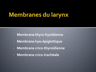 • Membrane thyro-hyoïdienne
• Membrane hyo-épiglottique
• Membrane crico-thyroïdienne
• Membrane crico-trachéale
 