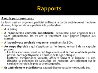 Avec la paroi cervicale :
Le larynx est un organe superficiel saillant à la partie antérieure et médiane
du cou ; il répond de la superficie à la profondeur :
 A la peau;
 A l’aponévrose cervicale superficielle: dédoublée pour engainer les 2
SCM latéralement, les VJ ant la traversant pour gagner l’espace sus
sternal;
 A l’aponévrose cervicale moyenne : engainant les SCH;
 Au corps thyroïde : qui s’applique sur le larynx, entouré de sa capsule
propre :
• Les lobes lat recouvrent le cartilage cricoïde et la moitié inf de la partie
post du cartilage thyroïde, en arrière de la ligne oblique ;
• L’isthme, d’importance variable, affleure souvent le cricoïde ; il s’en
détache la pyramide de Lalouette qui remonte verticalement sur le
cartilage thyroïde, le plus souvent à gauche.
 Et Latéralement et à distance : aux pédicules vasculo-nerveux du cou.
 