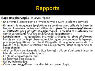 Rapports pharyngés : le larynx répond :
 En arrière: à la paroi post de l’hypopharynx, devant la colonne cervicale ;
 En avant: la muqueuse épiglottique se continue avec celle de la base de
langue. A ce niveau se trouvent délimitées 2 fossettes glosso-épiglottiques
ou vallécules par 3 plis glosso-épiglottiques : 1 médian et 2 latéraux qui
sont le versant antérieur des plis pharyngo-épiglottiques ;
 Latéralement : les gouttières pharyngo-laryngées ou sinus piriformes,
limités en haut par le pli pharyngo-épiglottique sous-tendu par le ligament
pharyngo-épiglottique qui réunit l’épiglotte et la grande corne de l’os
hyoïde ; ce pli sépare la vallécule du sinus piriforme, donc l’oropharynx de
l’hypopharynx ;
 Ainsi confluent au niveau de l’aditus laryngé 3 plis qui s’unissent à la partie
latérale du bord libre de l’épiglotte :
 Le glosso-épiglottique latéral ;
 Le pharyngo-épiglottique ;
 Et l’ary-épiglottique ;
 Cette zone des 3 plis a un grand intérêt en cancérologie.
 