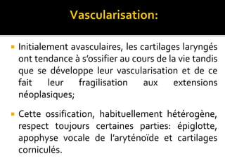  Initialement avasculaires, les cartilages laryngés
ont tendance à s’ossifier au cours de la vie tandis
que se développe leur vascularisation et de ce
fait leur fragilisation aux extensions
néoplasiques;
 Cette ossification, habituellement hétérogène,
respect toujours certaines parties: épiglotte,
apophyse vocale de l’aryténoïde et cartilages
corniculés.
 