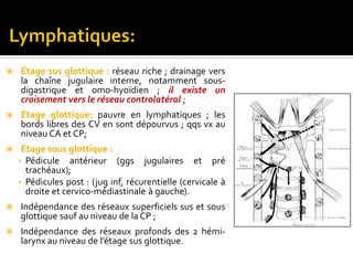  Étage sus glottique : réseau riche ; drainage vers
la chaîne jugulaire interne, notamment sous-
digastrique et omo-hyoïdien ; il existe un
croisement vers le réseau controlatéral ;
 Étage glottique: pauvre en lymphatiques ; les
bords libres des CV en sont dépourvus ; qqs vx au
niveau CA et CP;
 Étage sous glottique :
• Pédicule antérieur (ggs jugulaires et pré
trachéaux);
• Pédicules post : (jug inf, récurentielle (cervicale à
droite et cervico-médiastinale à gauche).
 Indépendance des réseaux superficiels sus et sous
glottique sauf au niveau de la CP ;
 Indépendance des réseaux profonds des 2 hémi-
larynx au niveau de l’étage sus glottique.
 