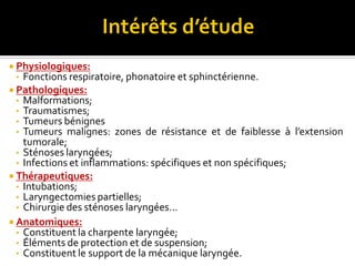  Physiologiques:
• Fonctions respiratoire, phonatoire et sphinctérienne.
 Pathologiques:
• Malformations;
• Traumatismes;
• Tumeurs bénignes
• Tumeurs malignes: zones de résistance et de faiblesse à l’extension
tumorale;
• Sténoses laryngées;
• Infections et inflammations: spécifiques et non spécifiques;
 Thérapeutiques:
• Intubations;
• Laryngectomies partielles;
• Chirurgie des sténoses laryngées…
 Anatomiques:
• Constituent la charpente laryngée;
• Éléments de protection et de suspension;
• Constituent le support de la mécanique laryngée.
 