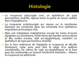  La muqueuse pharyngée avec un épithélium de type
pavimenteux stratifié, tapisse toute la partie du larynx saillant
dans l’hypopharynx;
 La muqueuse endolaryngée qui repose sur la membrane
élastique est constituée dans son ensemble d’un épithélium
respiratoire prismatique cilié;
 Mais une métaplasie malpighienne occupe les zones d’usures
(épiglotte sus hyoïdienne, bords libres des bandes ventriculaires
et des cordes vocales, repli ary-épiglottique), installant un
épithélium de type pavimenteux stratifié;
 Sur la face antérieure de l’épiglotte la muqueuse se décolle
facilement, cette zone peut être le siège d’un œdème
considérable; De même les repli ary-épiglottiques et la face
post des aryténoïdes se laissent facilement distendre ; Ailleurs
la muqueuse est adhérente.
 