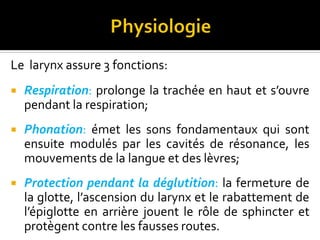 Le larynx assure 3 fonctions:
 Respiration: prolonge la trachée en haut et s’ouvre
pendant la respiration;
 Phonation: émet les sons fondamentaux qui sont
ensuite modulés par les cavités de résonance, les
mouvements de la langue et des lèvres;
 Protection pendant la déglutition: la fermeture de
la glotte, l’ascension du larynx et le rabattement de
l’épiglotte en arrière jouent le rôle de sphincter et
protègent contre les fausses routes.
 
