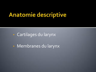 • Cartilages du larynx
• Membranes du larynx
• Articulations inter cartilagineuses
 