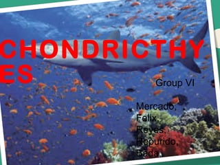CHONDRICTHY
ES Group VI
Mercado,
Felix,
Reyes,
Repurido,
Bada,
 
