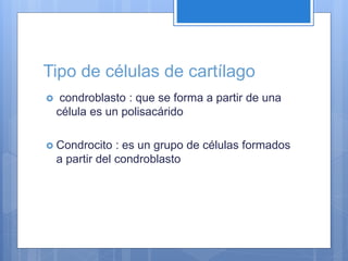 Tipo de células de cartílago
 condroblasto : que se forma a partir de una
célula es un polisacárido
 Condrocito : es un grupo de células formados
a partir del condroblasto
 