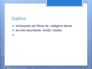 hialino
 compuesto por fibras de colágeno denso
 es mas abundante, lucido, rosado

 