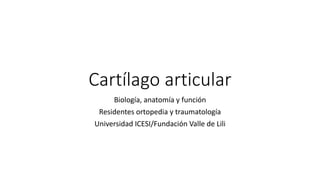 Cartílago articular
Biología, anatomía y función
Residentes ortopedia y traumatología
Universidad ICESI/Fundación Valle de Lili
 