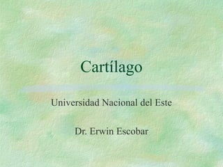 Cartílago

Universidad Nacional del Este

     Dr. Erwin Escobar
 