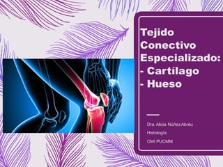 Tejido
Conectivo
Especializado:
- Cartílago
- Hueso
Dra. Alicia NúñezAbréu
Histología
CMI PUCMM
 