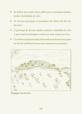 •	 As folhas que caem viram adubo para a pastagem aumen-
   tando a fertilidade do solo;

•	 As árvores protegem as pastagens do efeito do frio no
   inverno;

•	 A presença de árvores ajuda a manter a umidade no solo,
   o que propicia pastagens verdes por mais tempo na seca;

•	 O conforto proporcionado pela sombra nas horas mais quen-
   tes do dia também favorece um aumento na produção.




Pastagem com árvores.




                             18
 