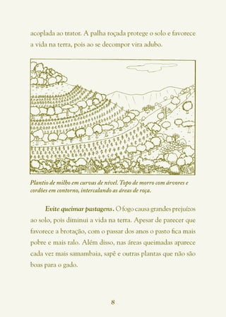 acoplada ao trator. A palha roçada protege o solo e favorece
a vida na terra, pois ao se decompor vira adubo.




Plantio de milho em curvas de nível. Topo de morro com árvores e
cordões em contorno, intercalando as áreas de roça.

      Evite queimar pastagens. O fogo causa grandes prejuízos
ao solo, pois diminui a vida na terra. Apesar de parecer que
favorece a brotação, com o passar dos anos o pasto fica mais
pobre e mais ralo. Além disso, nas áreas queimadas aparece
cada vez mais samambaia, sapê e outras plantas que não são
boas para o gado.




                                8
 