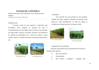 MANEJO DE CAPINEIRAS
1

1

Ricardo Alves de Araujo , Rose Cristina Bizerra Torres , Katyane de Araujo

CAPINEIRA?

Rodrigues

Área cultivada com uma gramínea de alta produção,

1

Graduandos do curso de Zootecnia UFMA/CCAA

utilizada sob cortes, podendo a gramínea ser fornecida verde
picada no cocho imediatamente, ou então ser fenada ou

INTRODUÇÃO
O manejo correto de uma capineira é importante, pois
possibilitará

maior

produção

de

forragem

por

área

ensilada para utilização posterior, em épocas críticas.

e,

consequentemente, maior produção, além de favorecer sua utilização
por longo tempo. É preciso, no entanto, relacionar a área disponível
de capineira na propriedade com o número de animais a serem
tratados, tendo-se o cuidado de manejar corretamente durante todo o
Foto: Embrapa Amazônia

ano.

Foto: Embrapa Amazônia

FORMAÇÃO DA CAPINEIRA
Principais características que uma gramínea deve ter para ser
utilizada como capineira:

Foto:Pimenta,Alves.2011

Foto:Pimenta,Alves.2011

Bom valor nutritivo;



Alta produção;



Boa resposta a adubação e irrigação; Boa
15

 