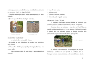 com o espaçamento. As mudas devem ser colocadas horizontalmente

Intervalo entre cortes;

em sulcos com 10 a 15 cm de profundidade.

Altura de corte;

Em média, um hectare fornece mudas para o plantio de 10 há de
capineira.

Fórmulas e doses de adubação;
Conveniência de irrigação na seca;

Conservação sob a forma de silagem ou de feno.
INTERVALO ENTRE CORTES
A frequência entre cortes afeta a produção de forragem, valor
nutritivo, potencial de rebrota e persistência (vida útil da capineira).
Os cortes devem ser realizados a intervalos de 45 a 60 dias, ou
quando as plantas atingirem de 1,5 a 1,8m de altura. O primeiro corte após
o plantio deve ser realizado quando as plantas estiverem bem
Foto: Cândido, Duarte. 2010

Foto: Cândido, Duarte. 2010

entouceiradas, o que ocorre cerca de 90 dias após o plantio.

MANEJO DAS CAPINEIRAS
A capineira deve ser manejada visando:

Foto: Cândido, Duarte. 2010

A obtenção de altos rendimentos de forragem com satisfatório
valor nutritivo
Uma melhor distribuição da produção forrageira durante o ano
(conservação)
Deve-se observar para um bom manejo e aproveitamento da
capineira:

A altura de corte em relação ao solo depende do nível de
fertilidade e umidade do solo. Quando as condições para as
brotações basilares forem satisfatórias (solo bem adubado ou de alta
17

 