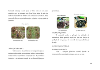 fertilidade natural), o corte pode ser feito rente ao solo; caso

propriedade.

contrário, deve ser efetuado entre 20 a 30 cm acima do solo. Os
Esterco de bovinos

melhores resultados são obtidos com cortes feitos com facão, foice

Curtimento do esterco

ou enxada. Cortes mecanizados podem prejudicar a longevidade da
capineira.
Altura de corte

Foto: Araújo, Alves..2009

Foto: Cândido, Duarte. 2010

ADUBAÇÃO QUÍMICA
É essencial, ainda, a aplicação de adubação de
manutenção. Essa operação deverá ser feita em função da
Foto: Cândido, Duarte. 2010

Foto: Cândido, Duarte. 2010

produção de forragem que foi removida da área e da fertilidade
do solo.
MANEJO DAS CAPINEIRAS

ADUBAÇÃO ORGÂNICA
Todo o esterco de curral deve ser transportado para a
capineira e distribuído uniformemente sobre a área do capim

MANEJO TRADICIONAL
Toda a forragem produzida durante período de
crescimento fica acumulada no campo, para uso na seca.

recém-cortado, independente da época do ano. A quantidade
de esterco a ser aplicado depende de sua disponibilidade na

18

 