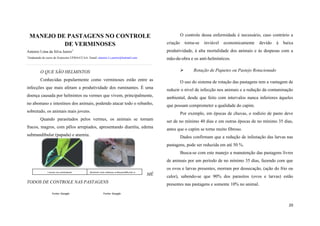 MANEJO DE PASTAGENS NO CONTROLE
DE VERMINOSES

O controle dessa enfermidade é necessário, caso contrário a
criação

torna-se

inviável

economicamente

devido

à

baixa

Antonio Lima da Silva Junior1

produtividade, à alta mortalidade dos animais e às despesas com a

1

mão-de-obra e os anti-helmínticos.

Graduando do curso de Zootecnia UFMA/CCAA. Email: antonio.l.s.junior@hotmail.com

O QUE SÃO HELMINTOS



Conhecidas popularmente como verminoses estão entre as

O uso do sistema de rotação das pastagens tem a vantagem de

infecções que mais afetam a produtividade dos ruminantes. É uma

reduzir o nível de infecção nos animais e a redução da contaminação

doença causada por helmintos ou vermes que vivem, principalmente,

ambiental, desde que feito com intervalos nunca inferiores àqueles

no abomaso e intestinos dos animais, podendo atacar todo o rebanho,

que possam comprometer a qualidade do capim.

sobretudo, os animais mais jovens.

Rotação de Piquetes ou Pastejo Rotacionado

Por exemplo, em épocas de chuvas, o rodízio de pasto deve

Quando parasitados pelos vermes, os animais se tornam
fracos, magros, com pêlos arrepiados, apresentando diarréia, edema
submandibular (papada) e anemia.

ser de no mínimo 40 dias e em outras épocas de no mínimo 35 dias,
antes que o capim se torne muito fibroso.
Dados confirmam que a redução de infestação das larvas nas
pastagens, pode ser reduzida em até 50 %.
Busca-se com este manejo a manutenção das pastagens livres
de animais por um período de no mínimo 35 dias, fazendo com que
os ovos e larvas presentes, morram por dessecação, (ação do frio ou

Larvas na pastagem
Fonte: Google

TODOS DE CONTROLE NAS
Fonte: Google

Animal com edema submandibular e
anemia
Fonte:
PASTAGENS Google

MÉ

calor), sabendo-se que 90% dos parasitos (ovos e larvas) estão
presentes nas pastagens e somente 10% no animal.

Fonte: Google

20

 