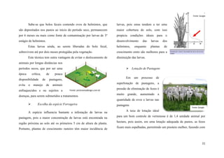 Fonte: Google

Sabe-se que bolos fecais contendo ovos de helmintos, que

larvas, pois estas tendem a ter uma

são depositados nos pastos ao início do período seco, permanecem

maior cobertura do solo, com isso

por 6 meses ou mais como fonte de contaminação por larvas de 3º

propicia condições ideais para o

estágio de helmintos.

desenvolvimento

Estas larvas ainda, ao serem liberadas do bolo fecal,
sobrevivem até por dois meses protegidas pela vegetação.
Este técnica tem outra vantagem de evitar o deslocamento de

helmintos,

das

enquanto

larvas

dos

plantas

de

crescimento ereto são melhores para a
diminuição das larvas.

animais por longas distâncias nos
 Lotação de Pastagens

períodos secos, que por ser uma
época

crítica,

disponibilidade
evita

o

de
de

manejo

pouca
Em

pastagens,
de

processo

de

superlotação de pastagens, a

animais

enfraquecidos e ou sujeitos a

um

Fonte: pictoramadesign.com.br

doenças, para serem submetidos a tratamentos.

pressão de eliminação de fezes é
muito

grande,

aumentado

a

quantidade de ovos e larvas nas


Escolha da espécie Forrageira

A espécie influencia bastante a infestação de larvas na

pastagens

Fonte: Google

A taxa de lotação ideal

pastagem, pois a maior concentração de larvas está encontrada na

para um bom controle de verminose é de 1,4 unidade animal por

região próxima ao solo até os primeiros 5 cm de altura da planta.

hectare, pois assim, em uma lotação adequada de pastos, as fezes

Portanto, plantas de crescimento rasteiro têm maior incidência de

ficam mais espalhadas, permitindo um pisoteio melhor, fazendo com

21

 