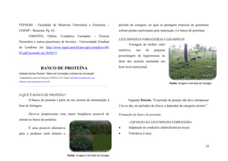 FEPAGRI - Faculdade de Medicina Veterinária e Zootecnia –

período de estiagem, no qual as pastagens tropicais de gramíneas

UNESP – Botucatu. Pg. 63.

sofrem perdas nutricionais pela maturação, é o banco de proteínas.

VIDOTTO,

Odilon.

Complexo

Carrapato

-

Tristeza

Parasitária e outras parasitoses de bovinos - Universidade Estadual
de Londrina em http://www.nupel.uem.br/pos-ppz/complexo-0803.pdf acessado em 26/09/11

LEGUMINOSAS FORRAGEIRAS X GRAMÍNEAS
Forragem de melhor valor
nutritivo;

uso

de

pequena

porcentagem de leguminosas na
dieta dos animais mantendo um
bom nível nutricional.

BANCO DE PROTEÍNA
1

Hellyda Gomes Pereira , Maria da Conceição Linhares da Conceição

1

1

Graduanda do curso de Zootecnia UFMA/CCAA. Email: hellydamyres@hotmail.com,

linhares.conceicao@yahool.com.br

Fonte: imagem retirada do Google.

O QUE É BANCO DE PROTEÍNA?
Segundo Peixoto, “O período de pastejo não deve ultrapassar

O banco de proteína é parte de um sistema de alimentação à

2 hs ao dia, em períodos de chuva, a depender da categoria animal.”

base de forragem.
Deve-se proporcionar uma maior freqüência possível do

Formação de banco de proteína

animal ao banco de proteína.

- ESCOLHA DA LEGUMINOSA FORRAGEIRA

É uma possível alternativa



Adaptação às condições edafoclimáticas locais;

para o produtor rural durante o



Tolerância à seca;

23
Fonte: imagem retirada do Google.

 