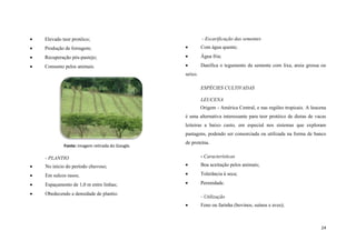 

Elevado teor protéico;



Produção de forragem;



Com água quente;



Recuperação pós-pastejo;



Água fria;



Consumo pelos animais.



Danifica o tegumento da semente com lixa, areia grossa ou

- Escarificação das sementes

seixo.
ESPÉCIES CULTIVADAS
LEUCENA
Origem - América Central, e nas regiões tropicais. A leucena
é uma alternativa interessante para teor protéico de dietas de vacas
leiteiras a baixo custo, em especial nos sistemas que exploram
pastagens, podendo ser consorciada ou utilizada na forma de banco
Fonte: imagem retirada do Google.

de proteína.
- Características

- PLANTIO


No início do período chuvoso;



Boa aceitação pelos animais;



Em sulcos rasos;



Tolerância à seca;



Espaçamento de 1,0 m entre linhas;



Perenidade.



Obedecendo a densidade de plantio.

- Utilização


Feno ou farinha (bovinos, suínos e aves);

24

 